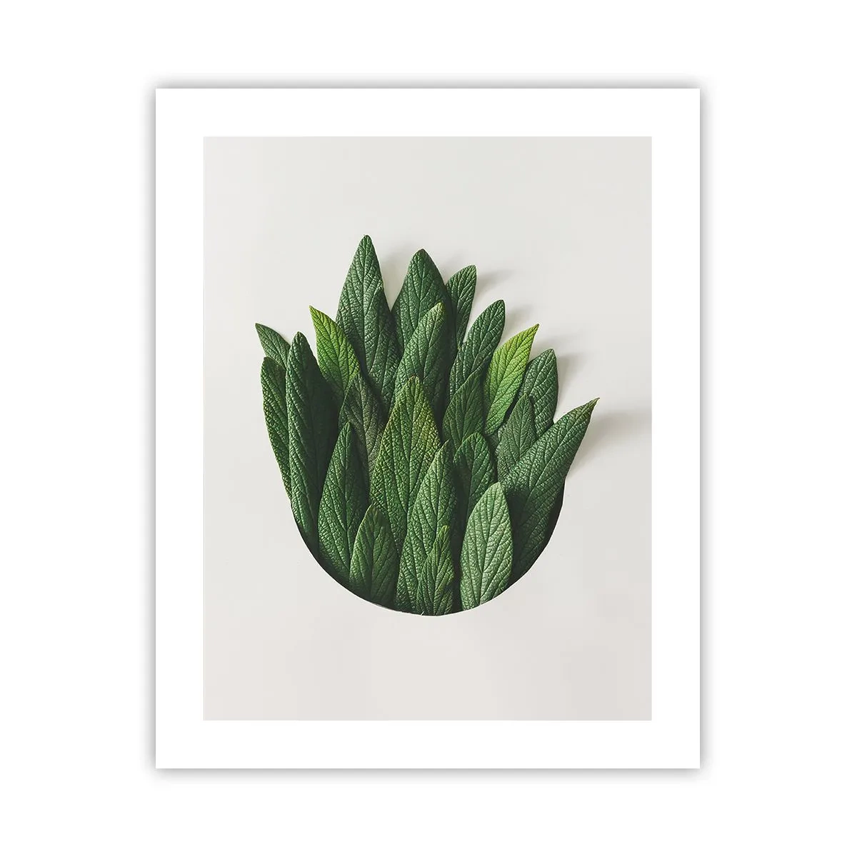 Affisch - Ostoppbar nyfikenhet - 40x50 cm