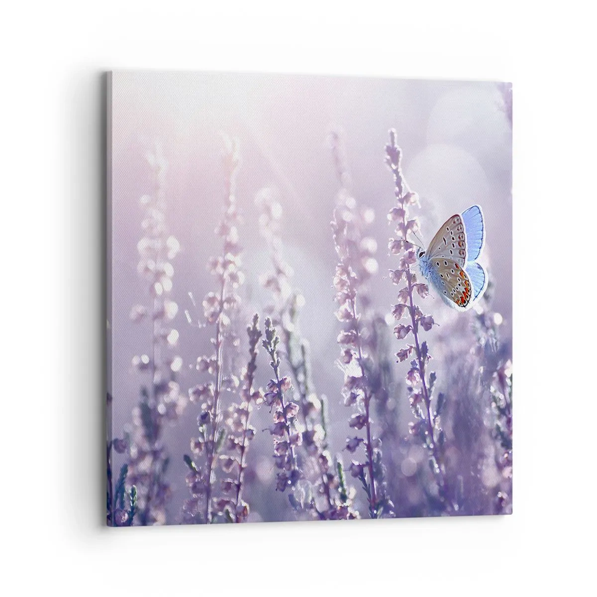 Canvastavla - Bild på duk - En fjärils kyss - 70x70 cm
