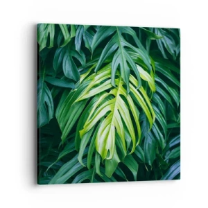 Canvastavla - Bild på duk - Doppa sig i fräschheten - 40x40 cm