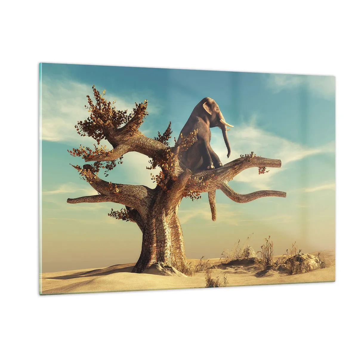 Glastavla - Bild på glas - Ny synvinkel - 120x80 cm