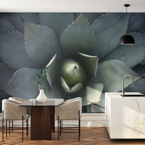 Självhäftande Fototapet Deluxe Sticker - Lockar och varnar - Agave blomma, Agave, Exotism - 250x175 cm