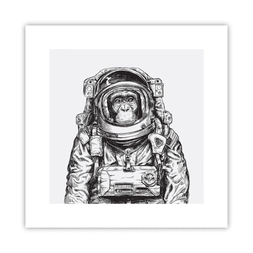 Affisch - Alternativ evolution - 30x30 cm