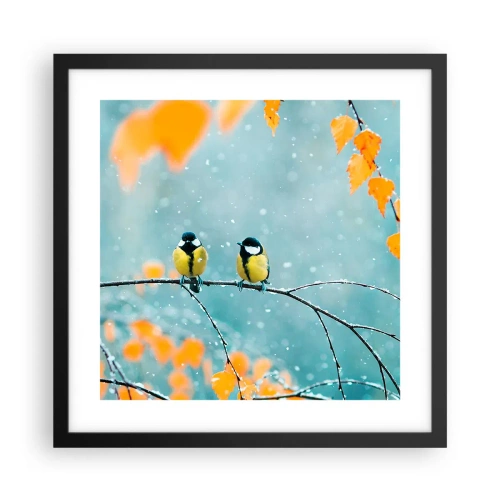Affisch i svart ram - Fåglarnas skvaller - 40x40 cm