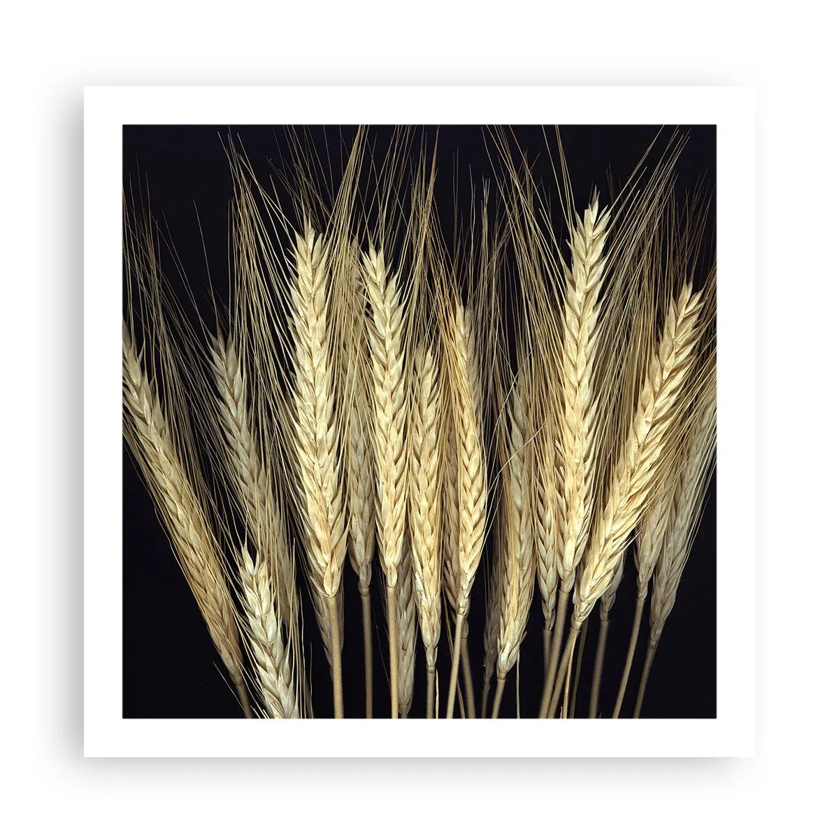 Affisch - Rustik magi - 60x60 cm