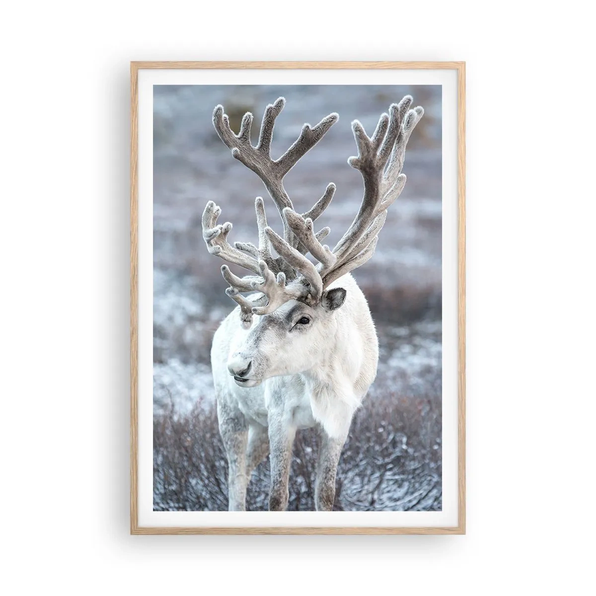 Affisch i ram av ljusek - Porträtt i solsken - 70x100 cm