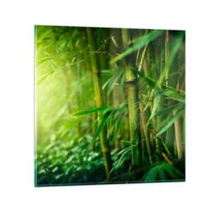 Glastavla - Bild på glas - Lär känna grönskan i sig - 40x40 cm