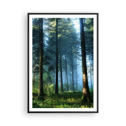 Affisch i svart ram - Strålande på morgonen - 70x100 cm
