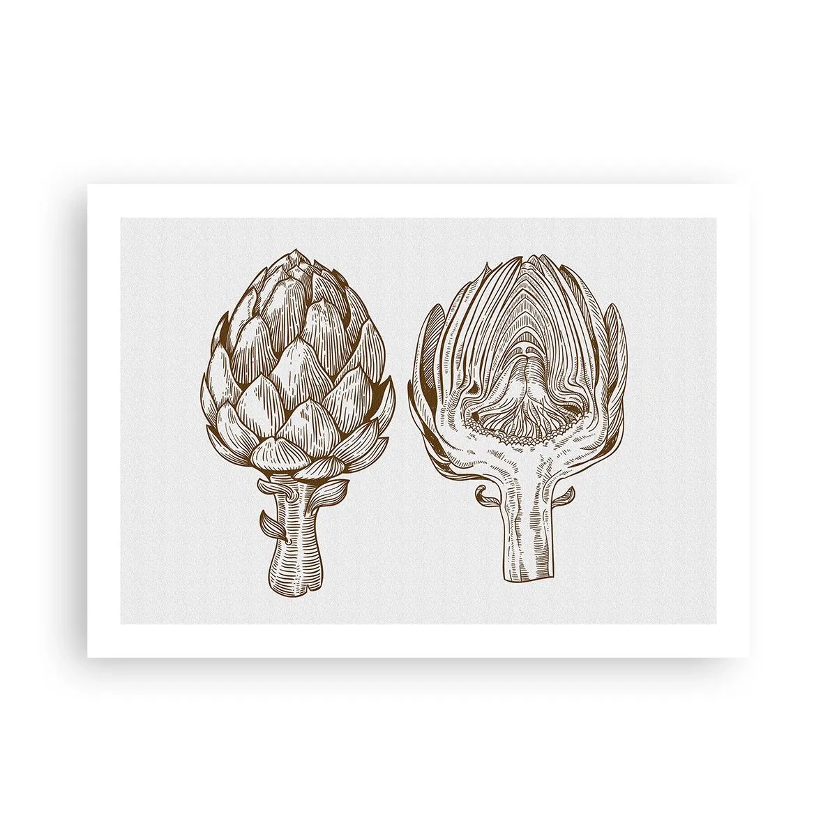 Affisch - Anatomilektion - 70x50 cm