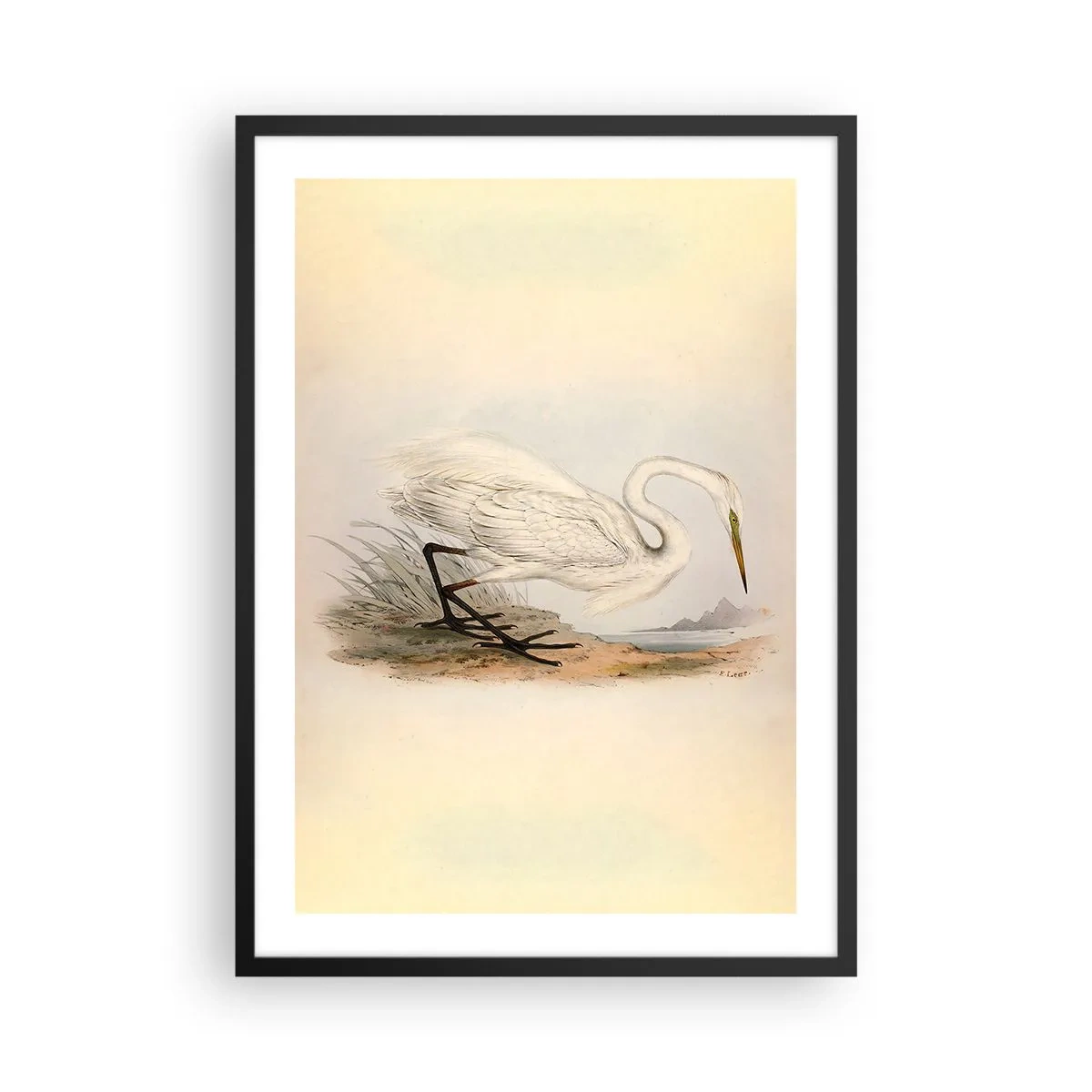 Affisch i svart ram - Illustration av en häger mot en pastellfärgad landskapsbakgrund - 50x70cm - En dam i vassen - Modern väggdekoration för vardagsrum och sovrum ARTTOR