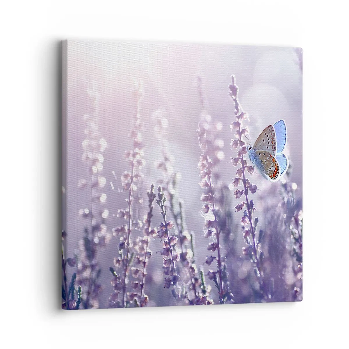Canvastavla - Bild på duk - En fjärils kyss - 30x30 cm