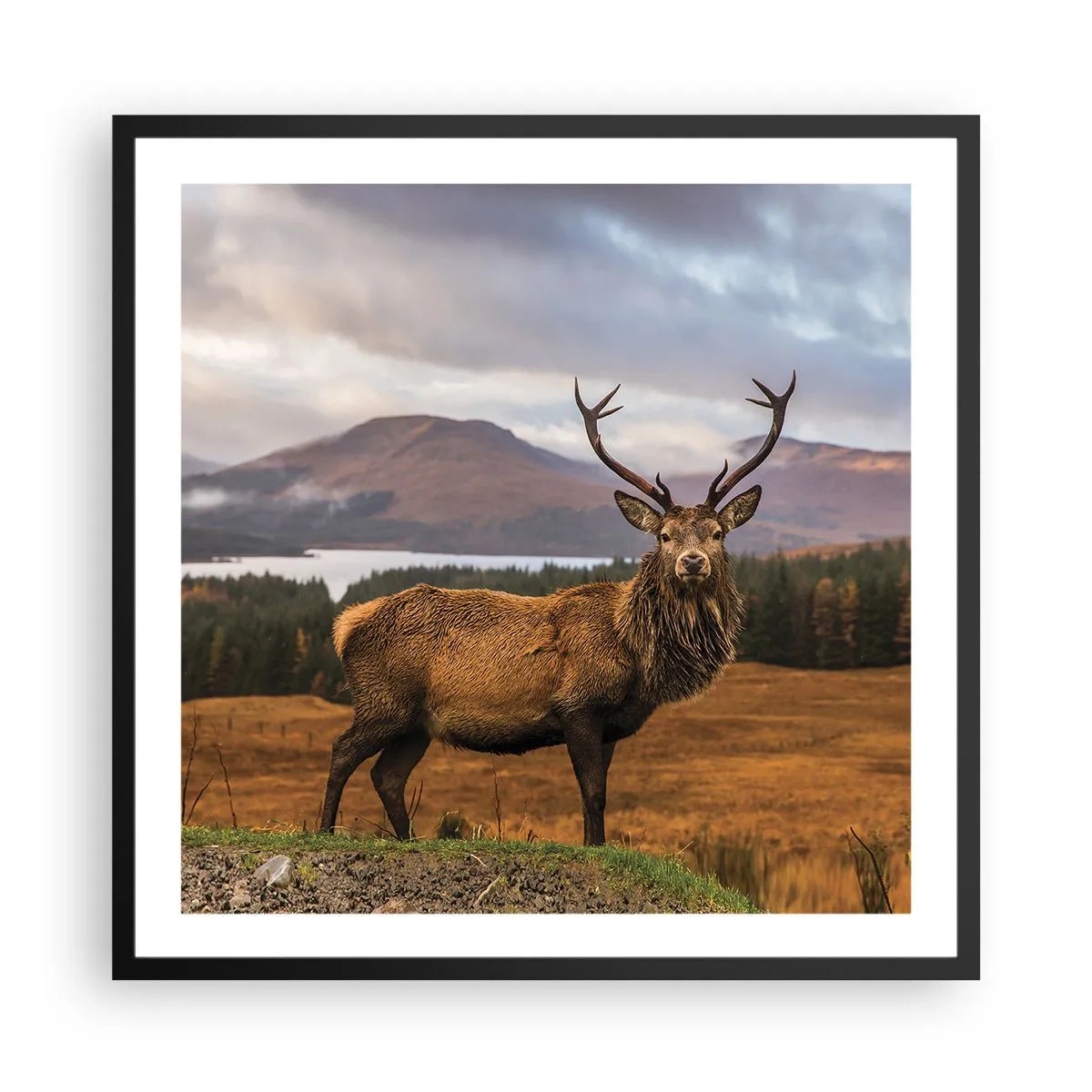 Affisch i svart ram - Naturens majestät - 60x60 cm