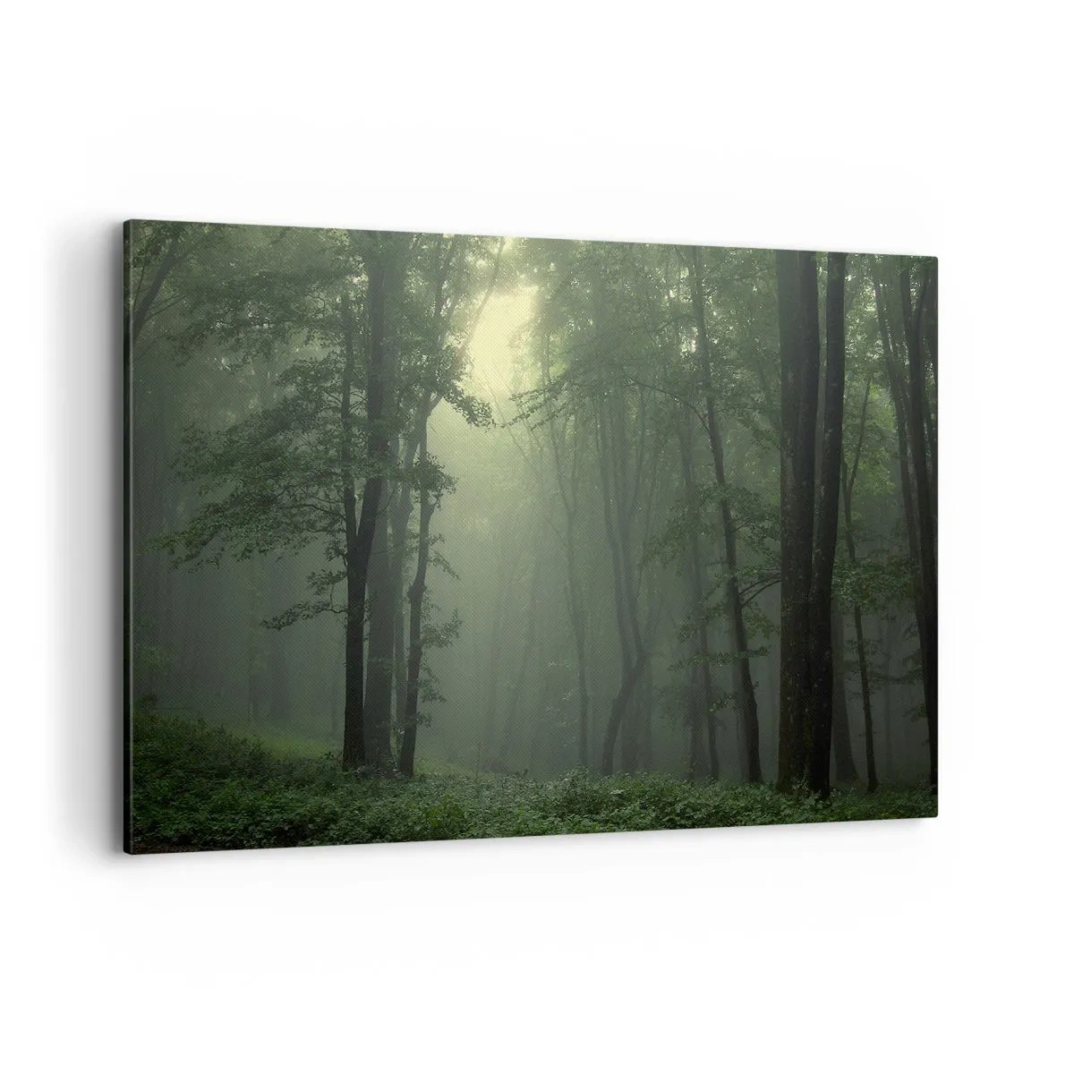 Canvastavla - Bild på duk - Innan skogen vaknar - 120x80 cm