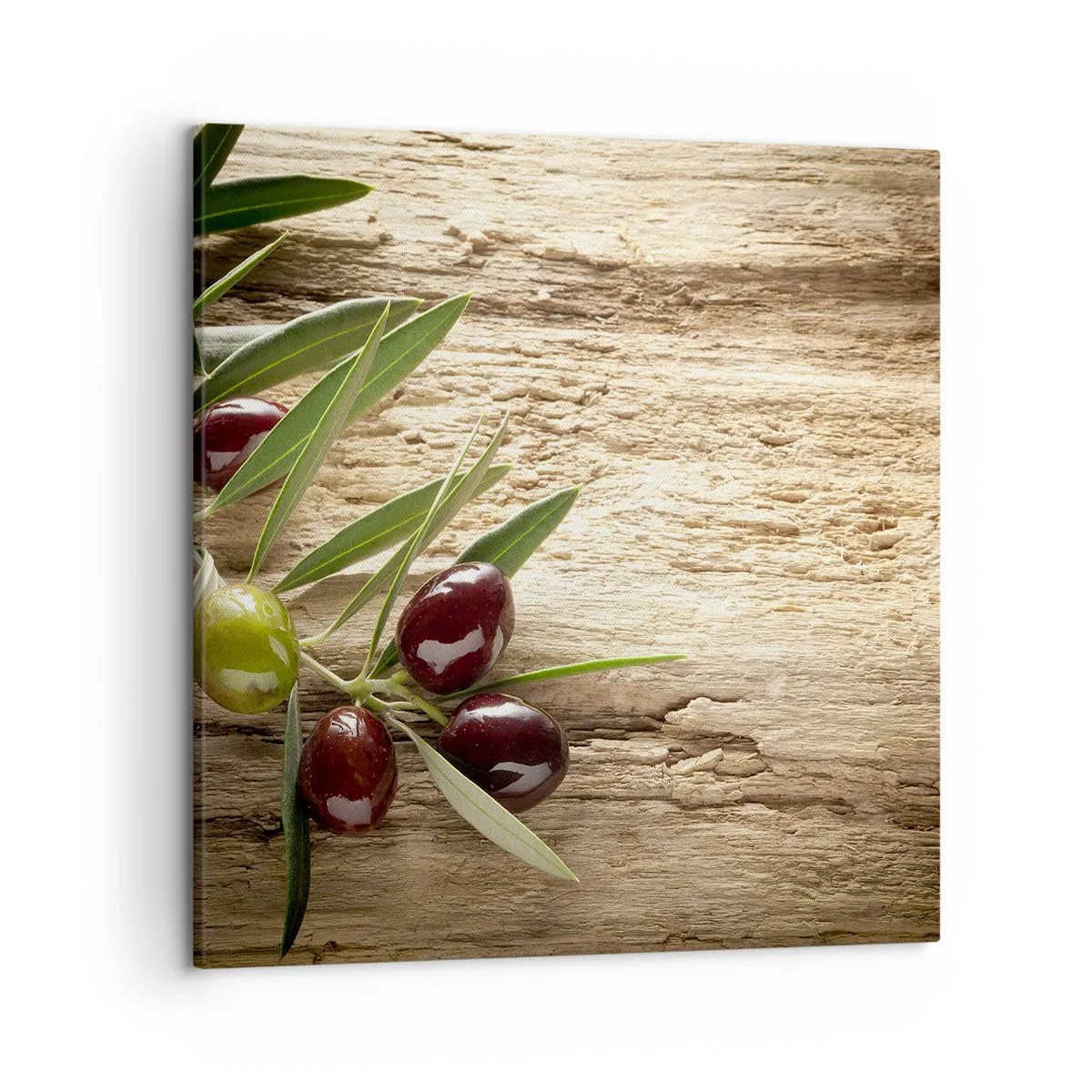 Canvastavla - Bild på duk - Direkt från naturen - 50x50 cm