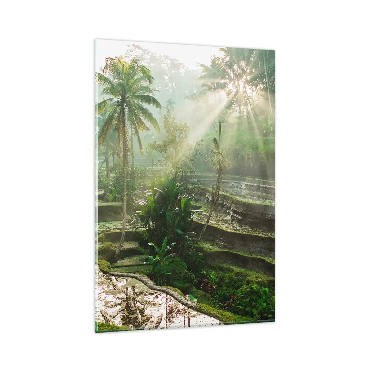 Glastavla - Bild på glas - Växa upp i solsken - 80x120 cm