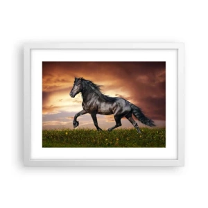 Affisch i vit ram - Svarta prinsen - 40x30 cm