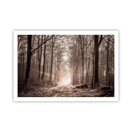 Affisch - Skogens domkyrka - 91x61 cm