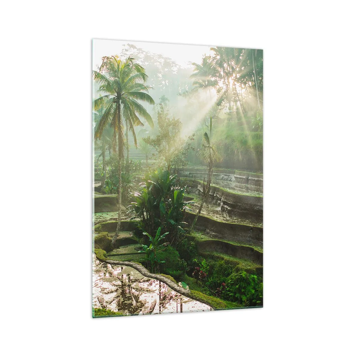 Glastavla - Bild på glas - Växa upp i solsken - 70x100 cm