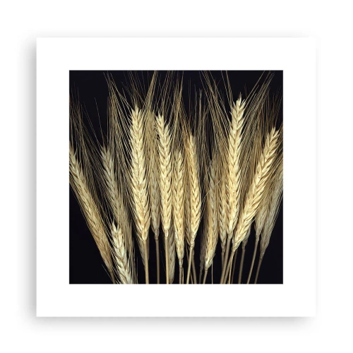 Affisch - Rustik magi - 30x30 cm