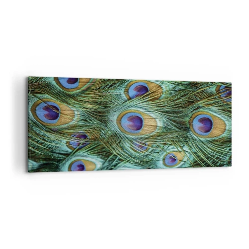 Canvastavla - Bild på duk - Påfågels blick - 100x40 cm