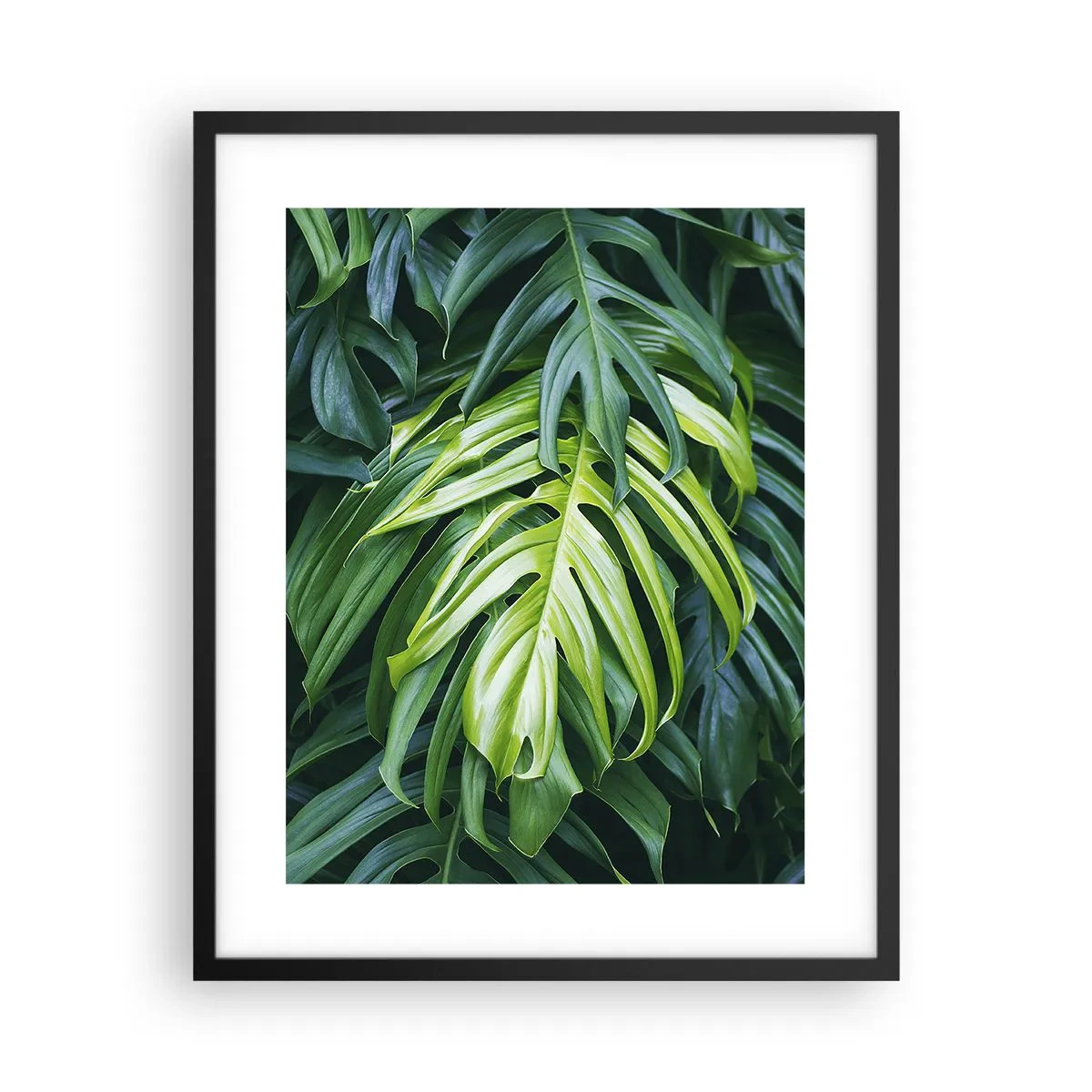 Affisch i svart ram - Doppa sig i fräschheten - 40x50 cm