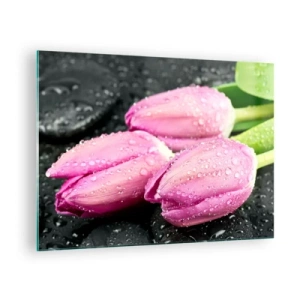 Glastavla - Bild på glas - Tre rosa tulpaner täckta med vattendroppar på svart bakgrund. - 70x50cm - Tre i lila färg på en sten - Modern väggdekoration för vardagsrum och sovrum ARTTOR
