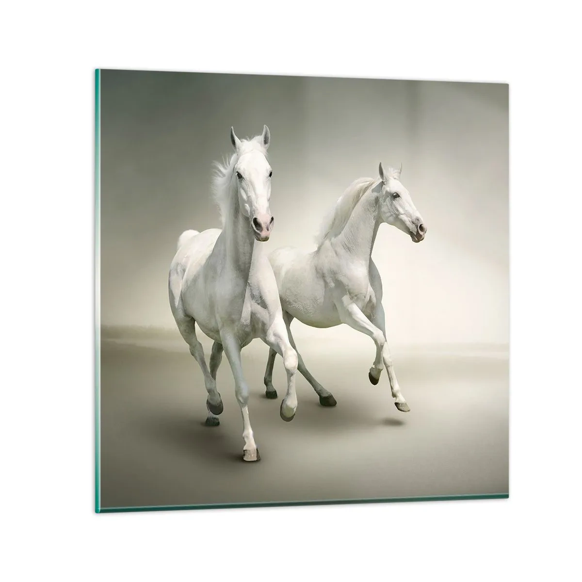 Glastavla - Bild på glas - White power! - 70x70 cm