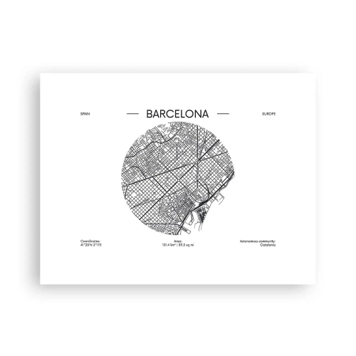 Affisch - Barcelonas anatomi - 40x30 cm