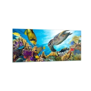 Glastavla - Bild på glas - Korallpromenad - 120x50 cm