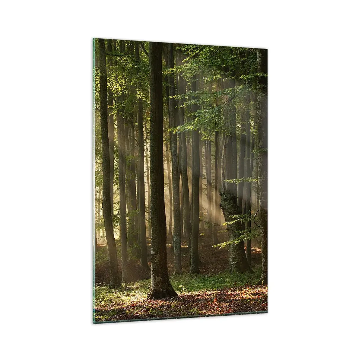 Glastavla - Bild på glas - Utstrålande på en vårmorgon - 80x120 cm