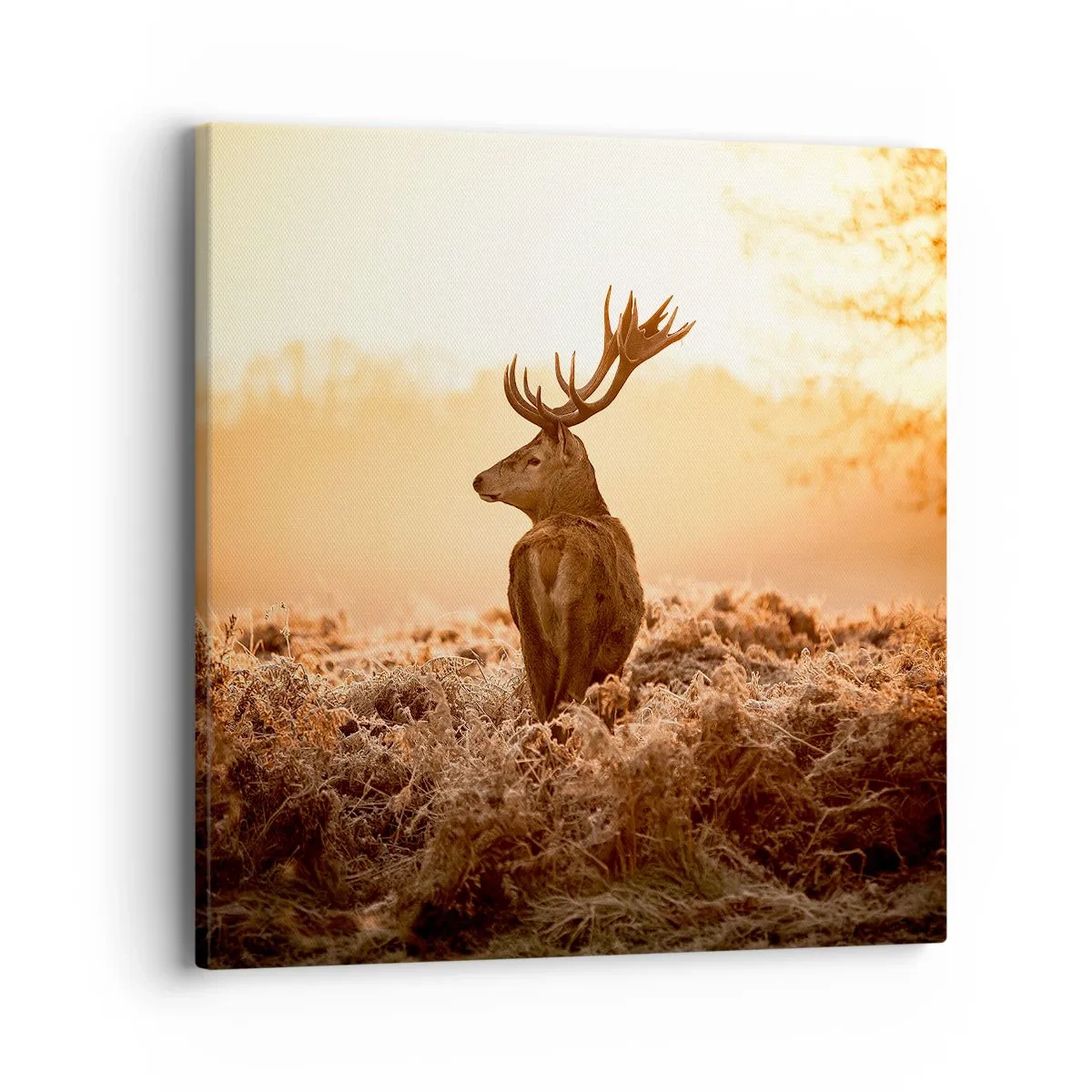 Canvastavla - Bild på duk - Herre på godset - 40x40 cm