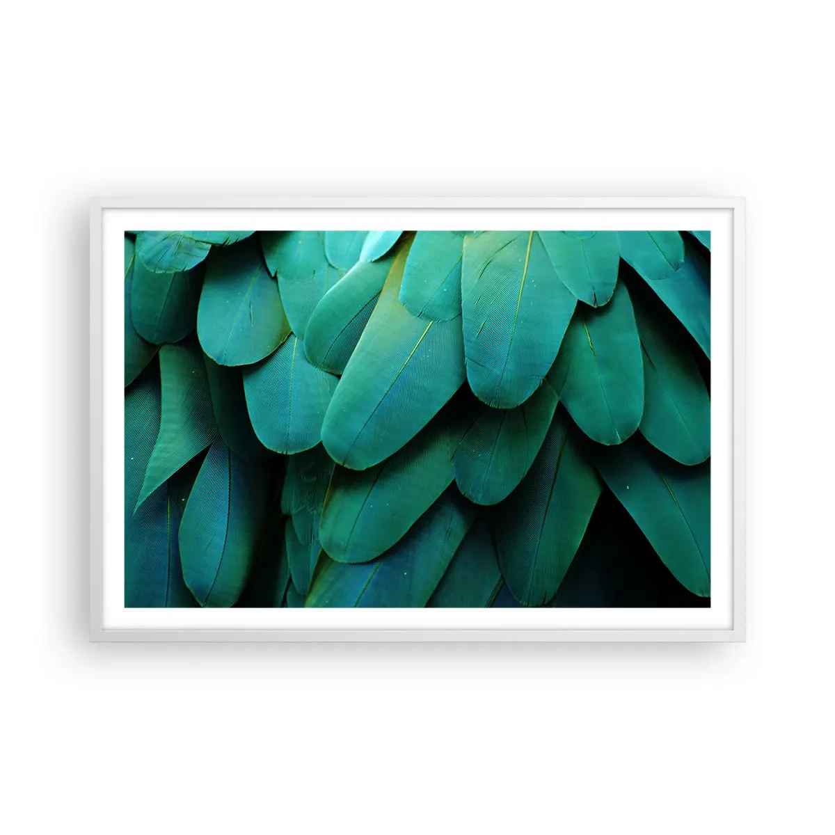 Affisch i vit ram - Precision av papegojans natur - 91x61 cm