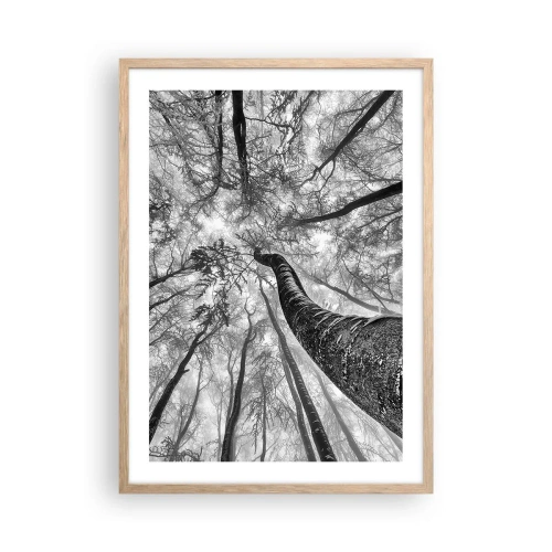 Affisch i ram av ljusek - Kapplöpning mot ljuset - 50x70 cm