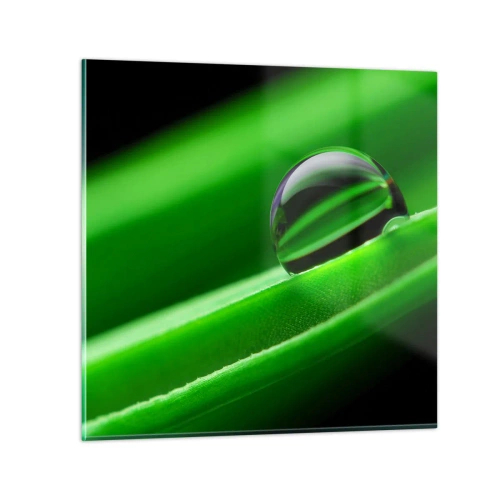 Glastavla - Bild på glas - Livet på nära håll - 70x70 cm