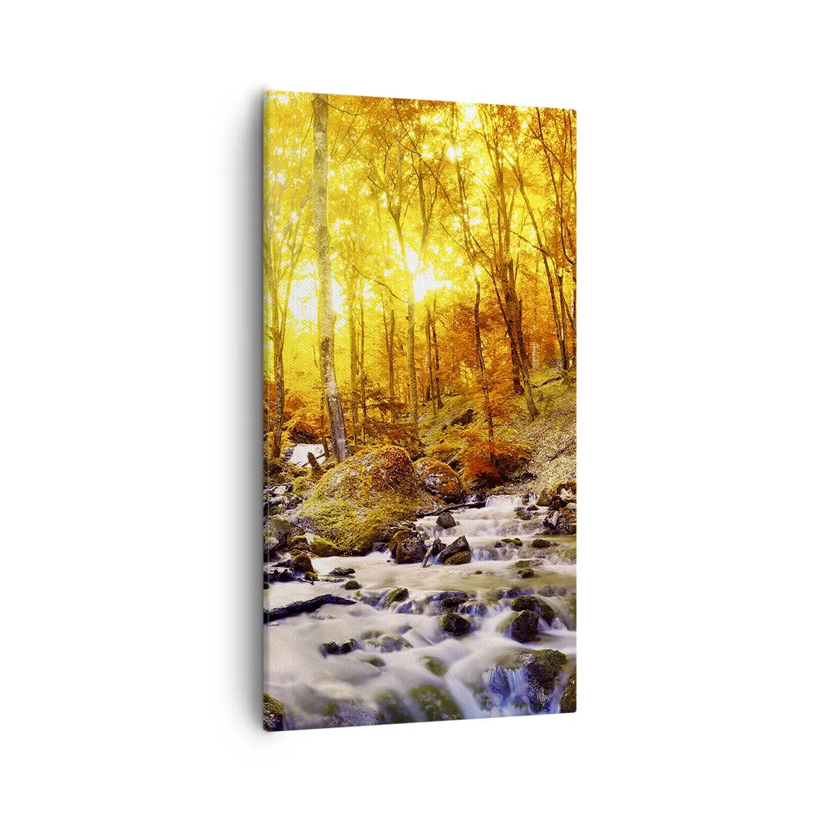 Canvastavla - Bild på duk - Stenar infattade i guld och platina - 55x100 cm