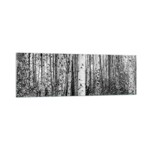 Glastavla - Bild på glas - Björkpelargång - 160x50 cm