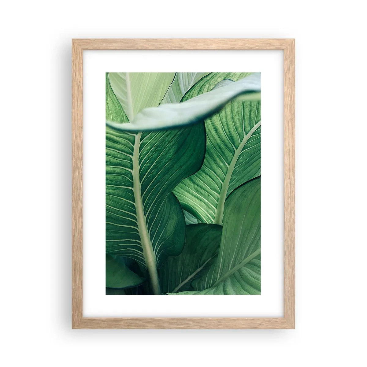 Affisch i ram av ljusek - Livet intensivt grönt - 30x40 cm