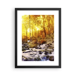 Affisch i svart ram - Stenar infattade i guld och platina - 30x40 cm