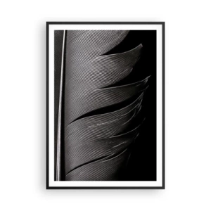 Affisch i svart ram - Fjäder - en underbar konstruktion - 70x100 cm