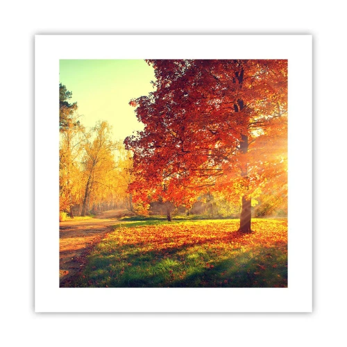 Affisch - Rött är vackert - 40x40 cm