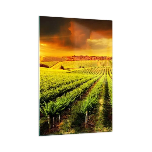 Glastavla - Bild på glas - Under australiensiska solen - 80x120 cm