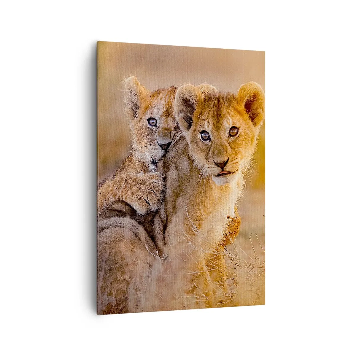 Canvastavla - Bild på duk - Stör inte! Vi har kul - 70x100 cm