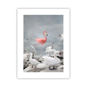 Affisch - Hur har jag hamnat här? - 30x40 cm