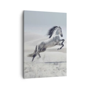Canvastavla - Bild på duk - Arabisk prins - 50x70 cm