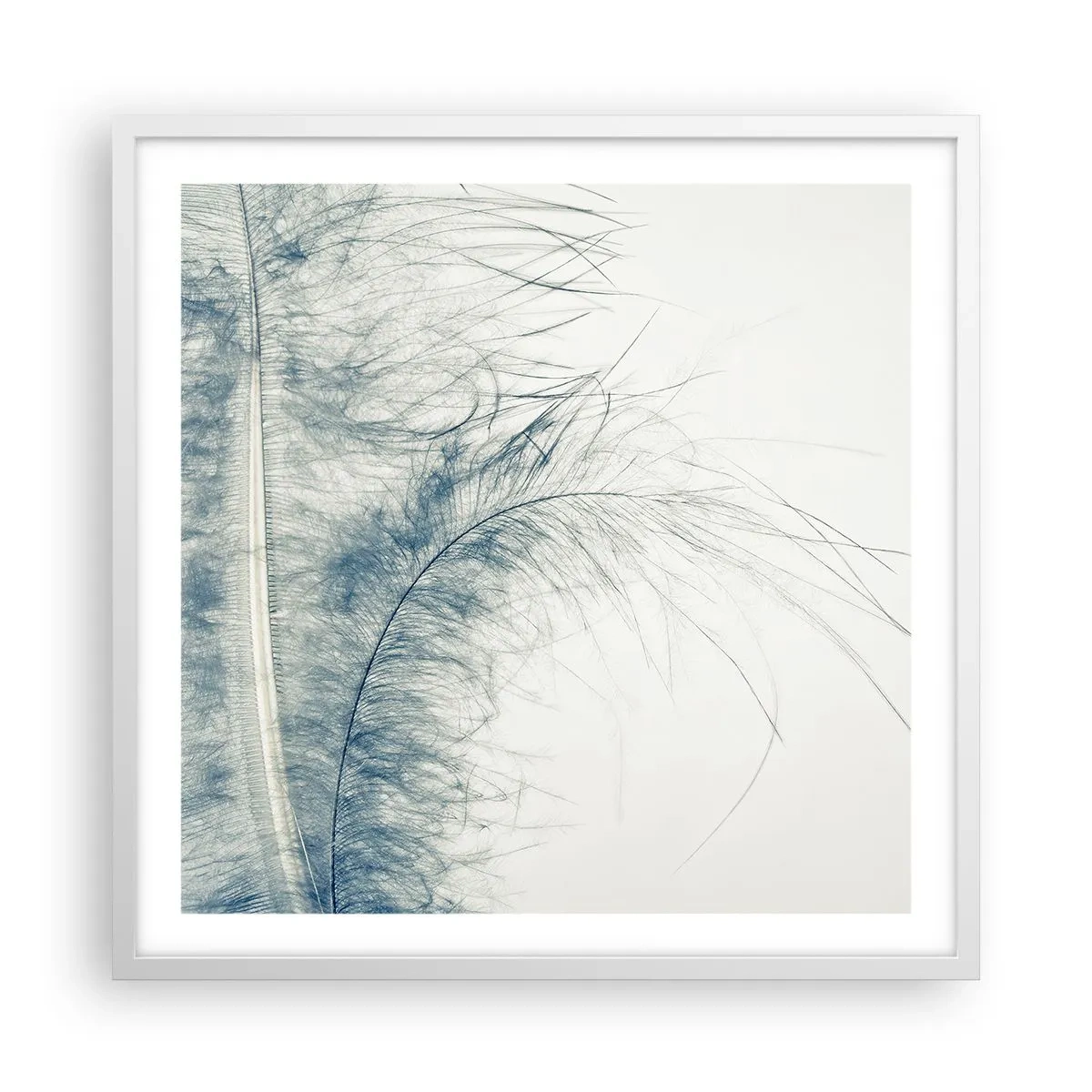 Affisch i vit ram - Naturens viskningar - 60x60 cm