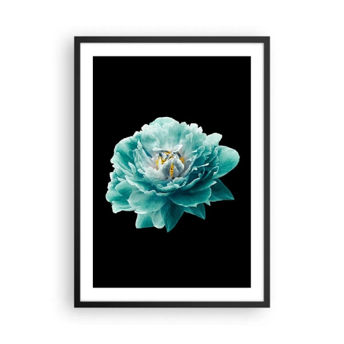 Affisch i svart ram - Turkos blomma med ett bi på svart bakgrund - 50x70cm - Blå och gyllene kronblad - Modern väggdekoration för vardagsrum och sovrum ARTTOR