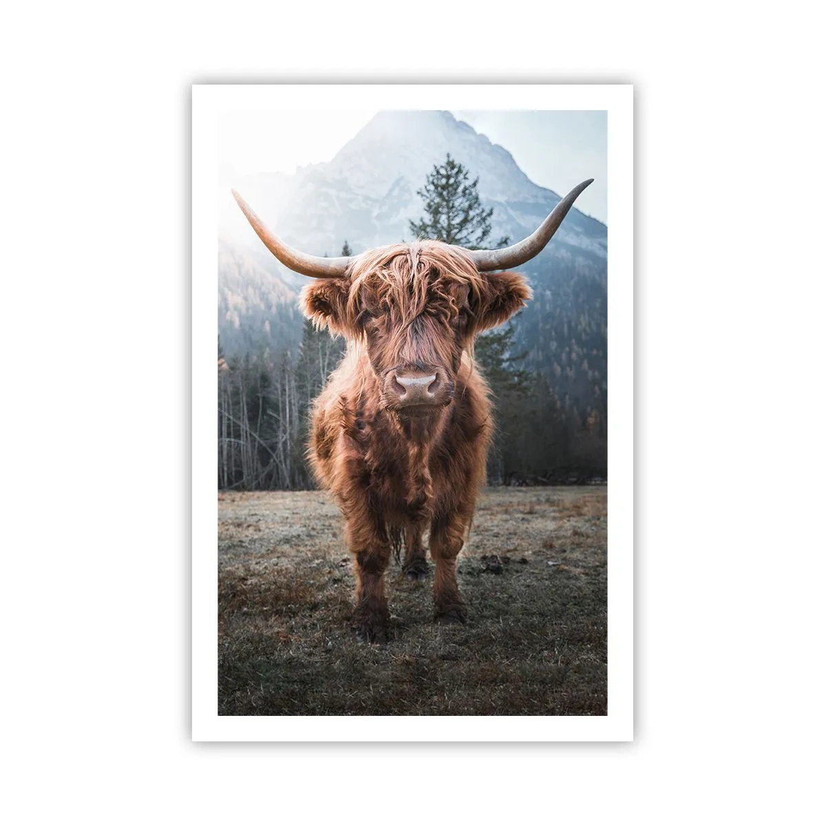 Affisch - Hälsningar från fjälläng - 61x91 cm