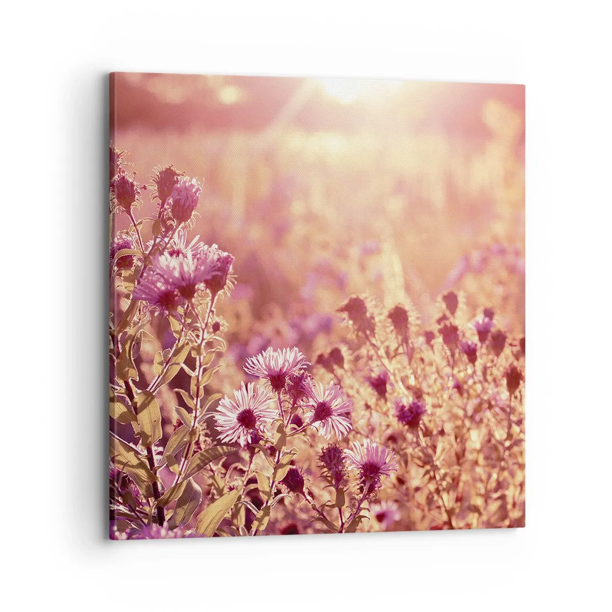 Canvastavla - Bild på duk - Innan sommaren går bort - 70x70 cm