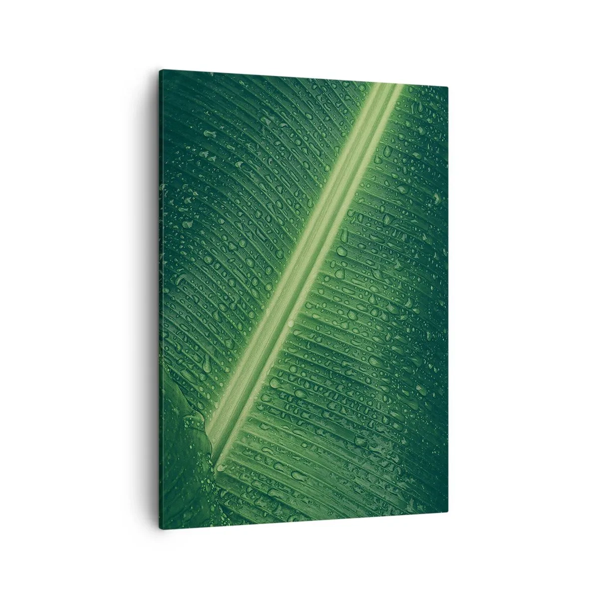 Canvastavla - Bild på duk - Grönskans struktur - 50x70 cm