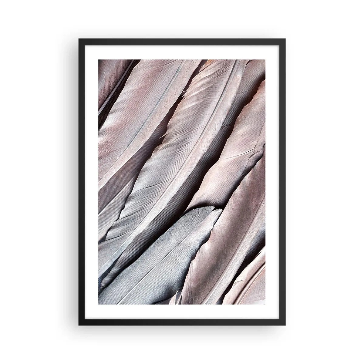 Affisch i svart ram - Närbild av fina, pastellfärgade fjädrar - 50x70cm - I rosa silver - Modern väggdekoration för vardagsrum och sovrum ARTTOR