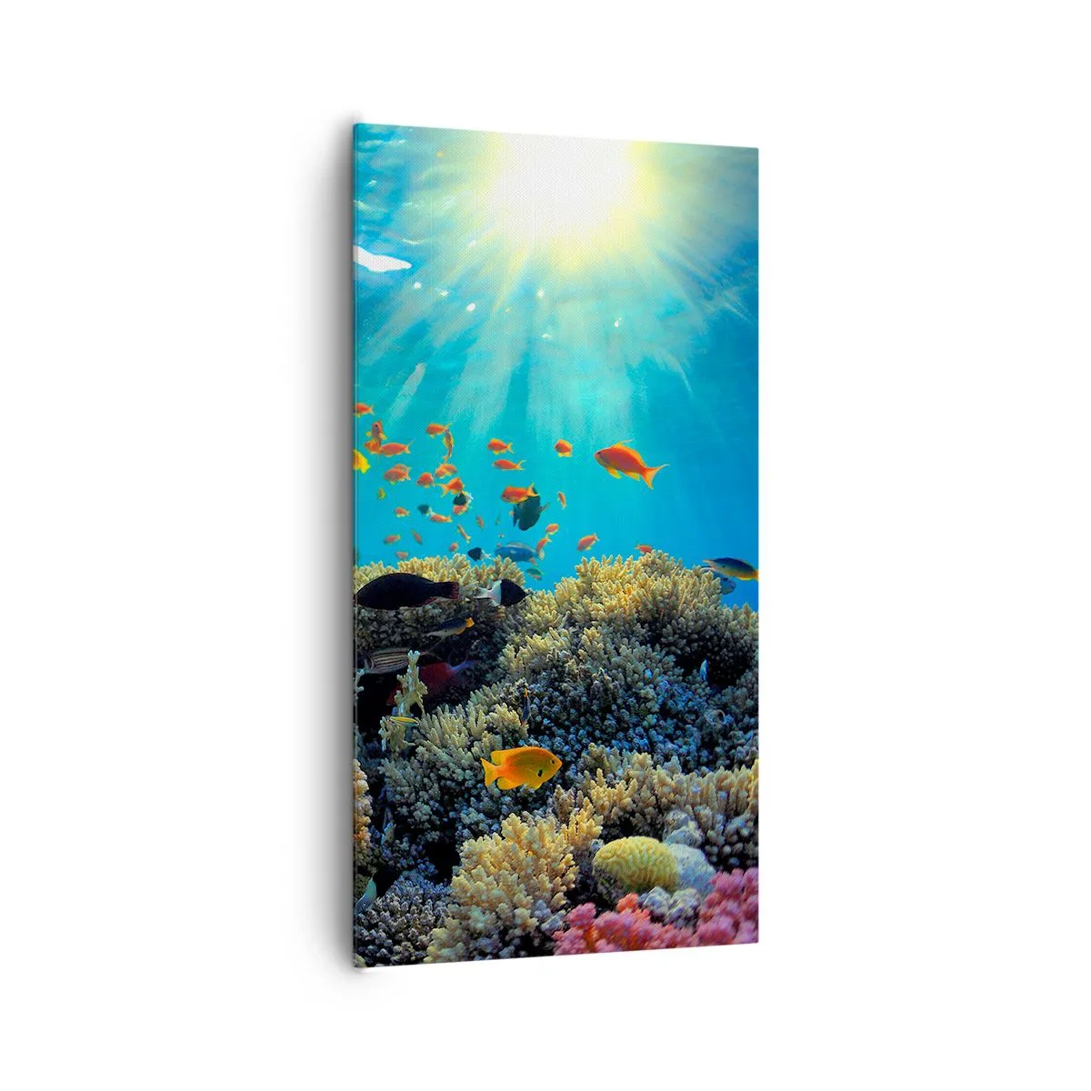 Canvastavla - Bild på duk - Undervatenskatter - 65x120 cm